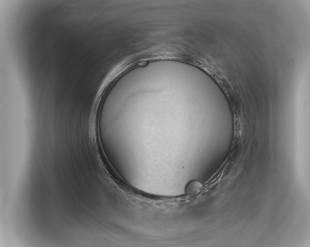 X0000112980004200908271152