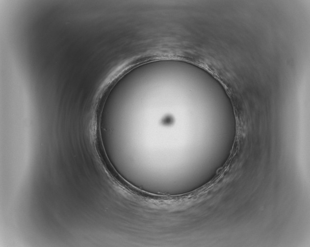 X0000112980005200908271152