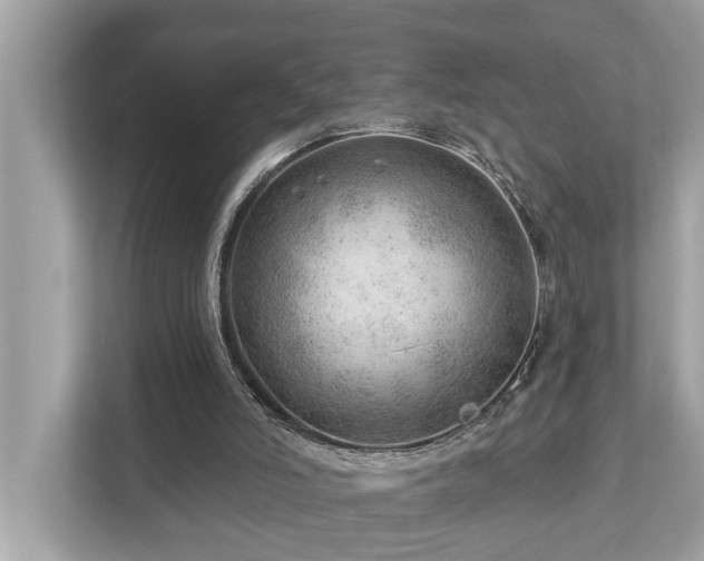 X0000112980006200908271152