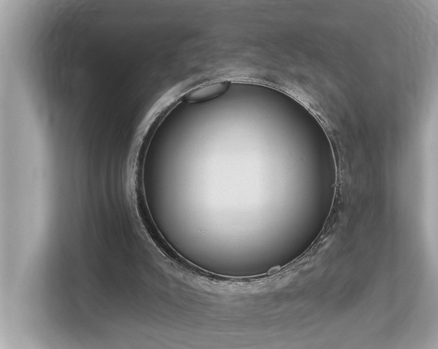 X0000112980007200908271152