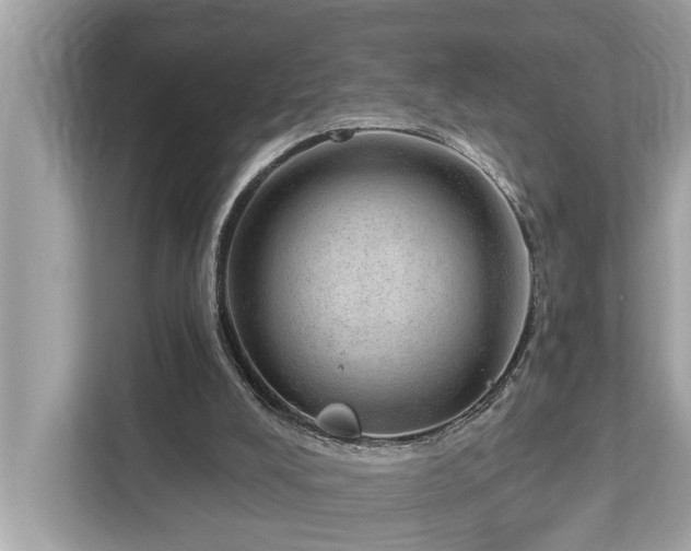 X0000112980008200908271152