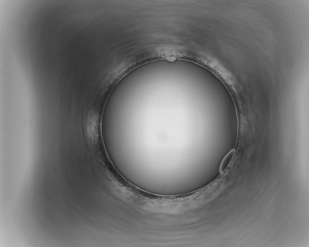 X0000112980009200908271152