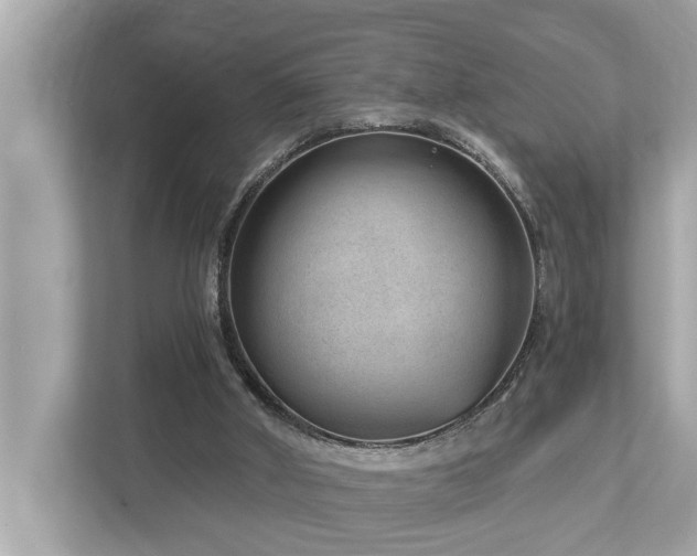 X0000112980010200908271152