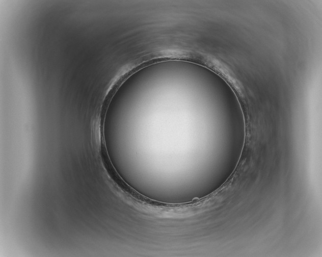 X0000112980011200908271152