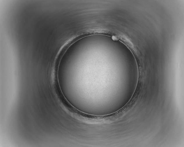 X0000112980012200908271152