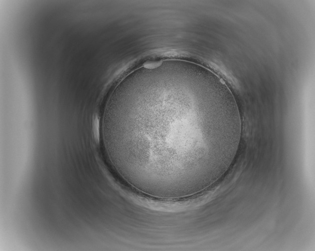 X0000112980014200908271152