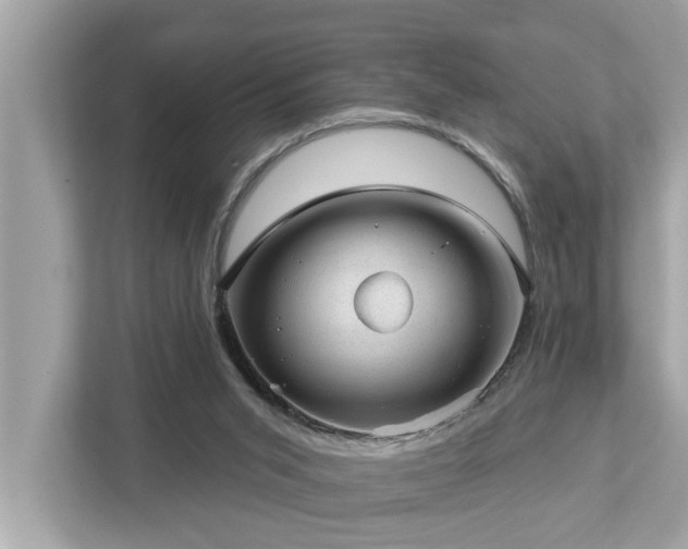 X0000112980015200908271152
