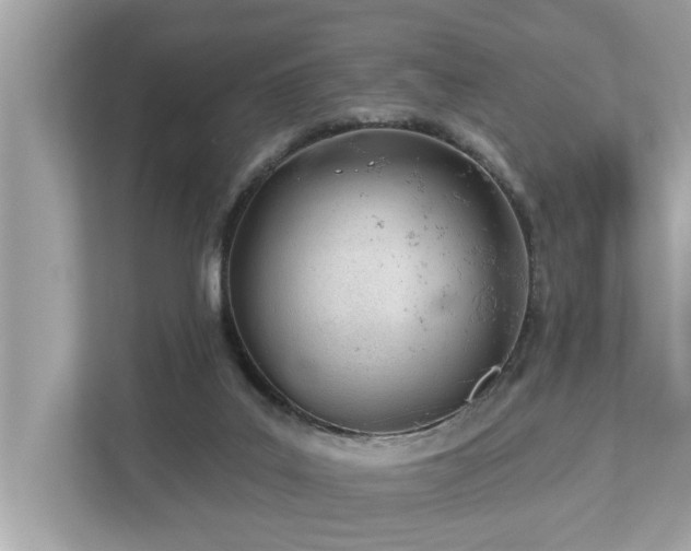 X0000112980019200908271152
