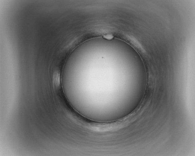 X0000112980021200908271152