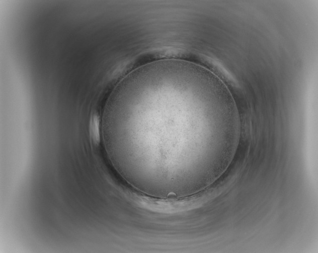 X0000112980022200908271152