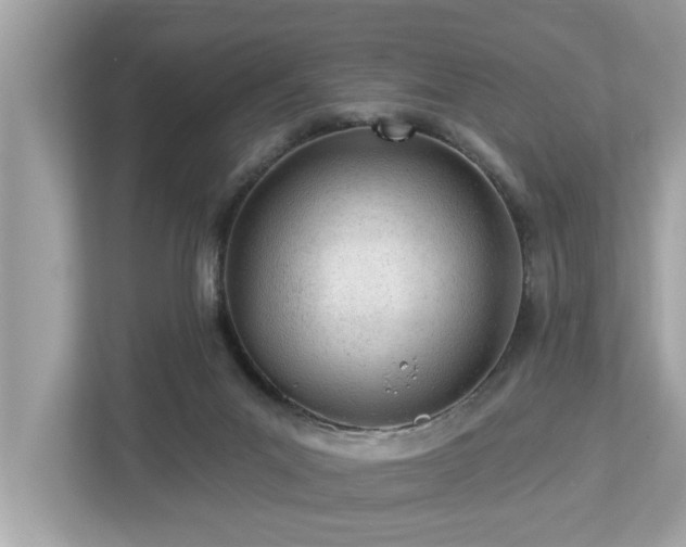 X0000112980023200908271152