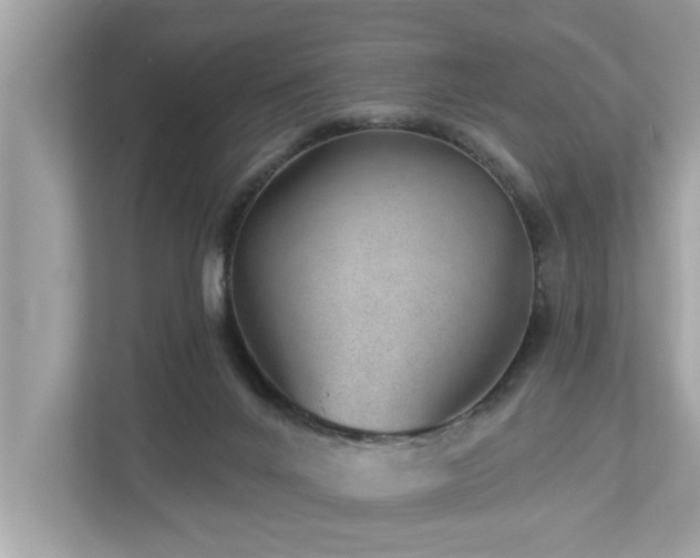 X0000112980024200908271152