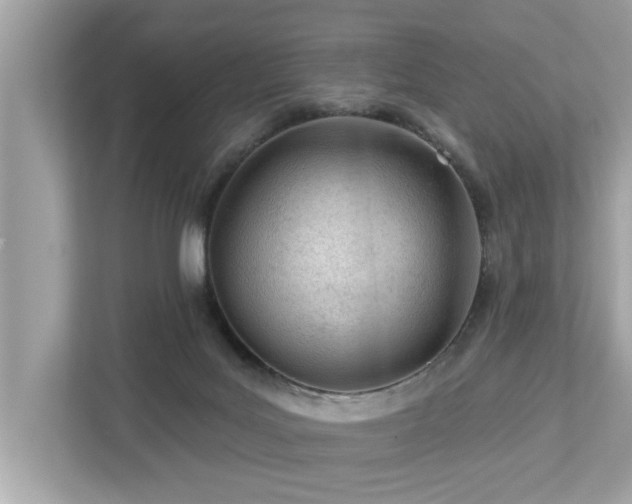 X0000112980027200908271152