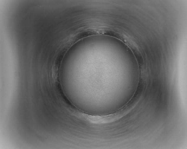 X0000112980030200908271152