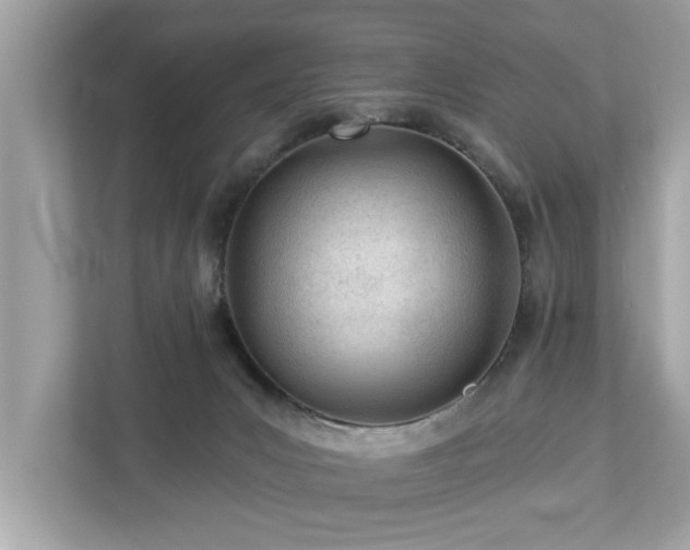 X0000112980031200908271152