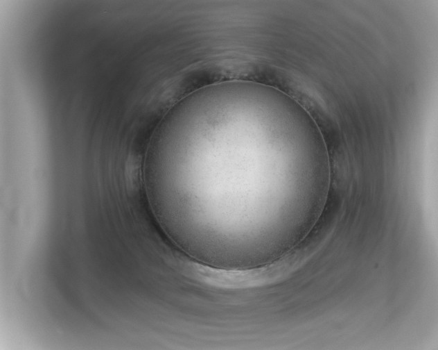 X0000112980034200908271152