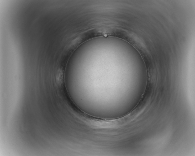 X0000112980036200908271152