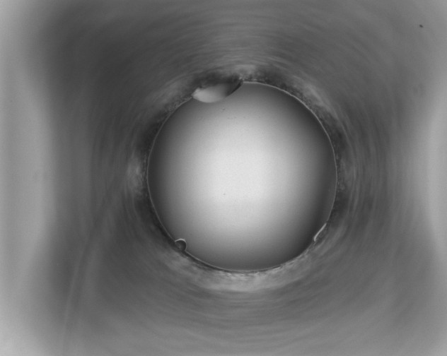 X0000112980037200908271152