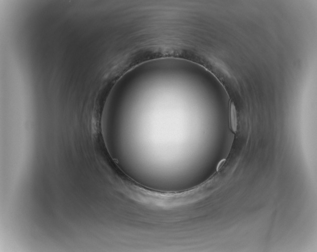 X0000112980039200908271152