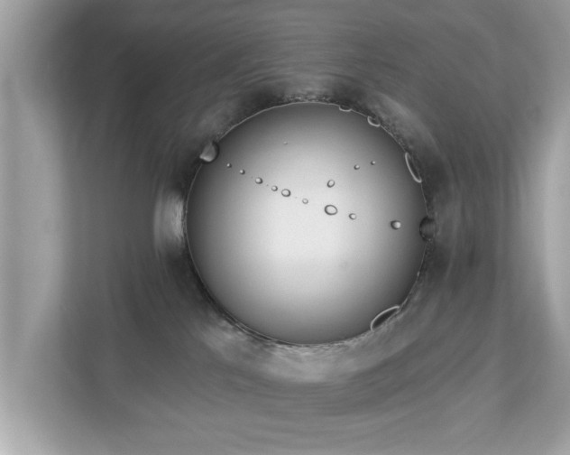 X0000112980041200908271152