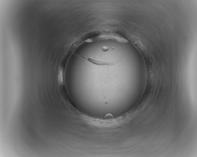 X0000112980042200908271152