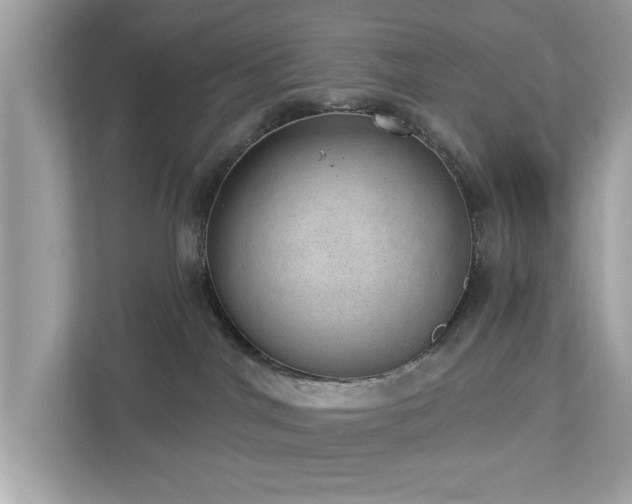 X0000112980044200908271152