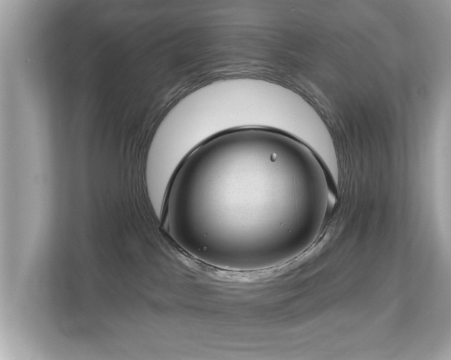 X0000112980045200908271152