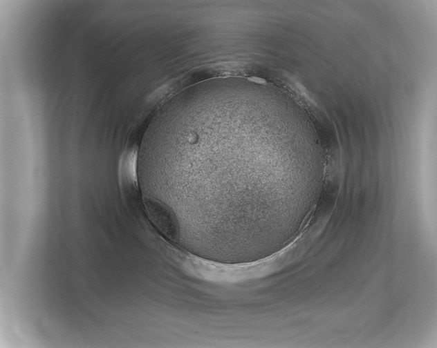 X0000112980047200908271152