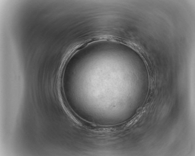 X0000112980049200908271151