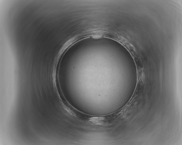 X0000112980051200908271151