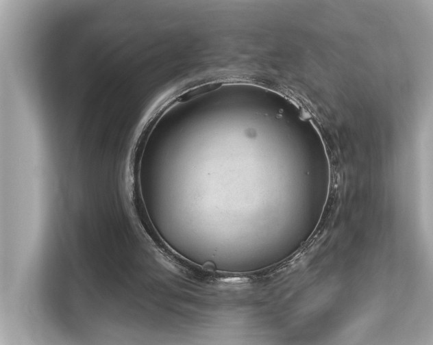 X0000112980053200908271151
