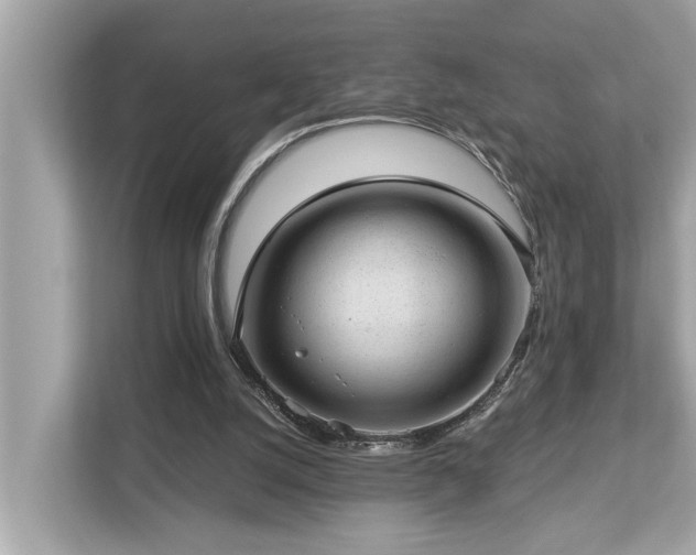 X0000112980056200908271151