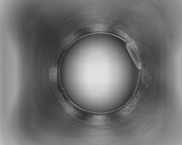 X0000112980057200908271151