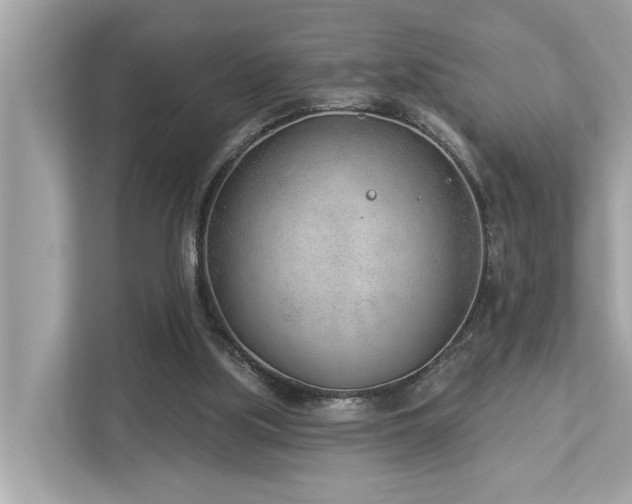 X0000112980059200908271151