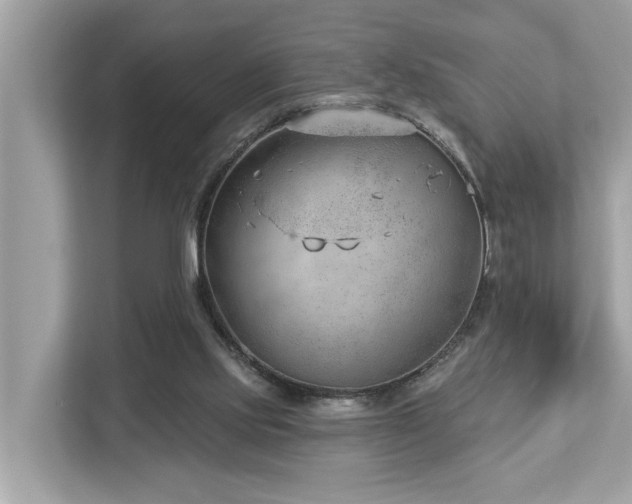 X0000112980061200908271151