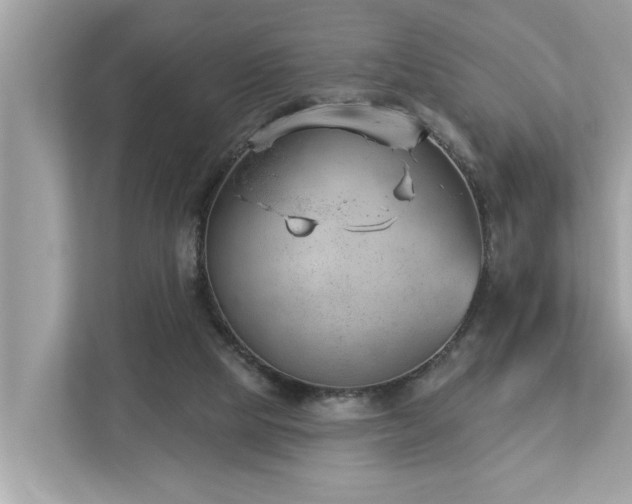 X0000112980065200908271151
