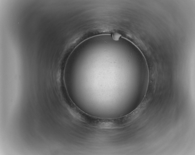 X0000112980066200908271151