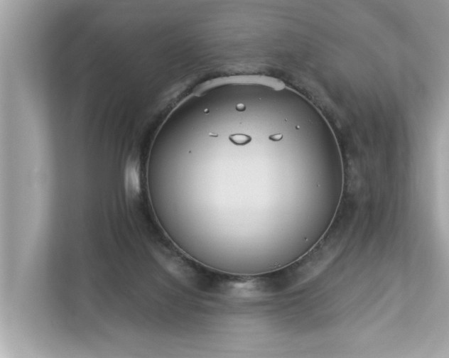 X0000112980068200908271151