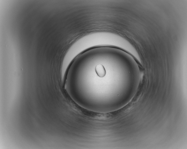 X0000112980076200908271151