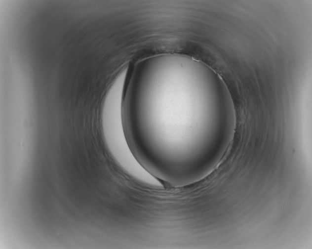 X0000112980080200908271152