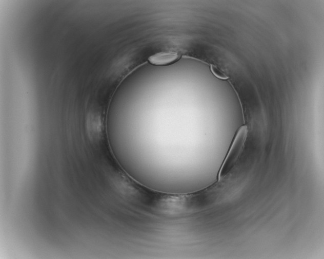 X0000112980084200908271152