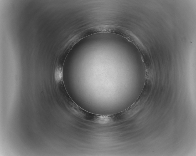 X0000112980095200908271152