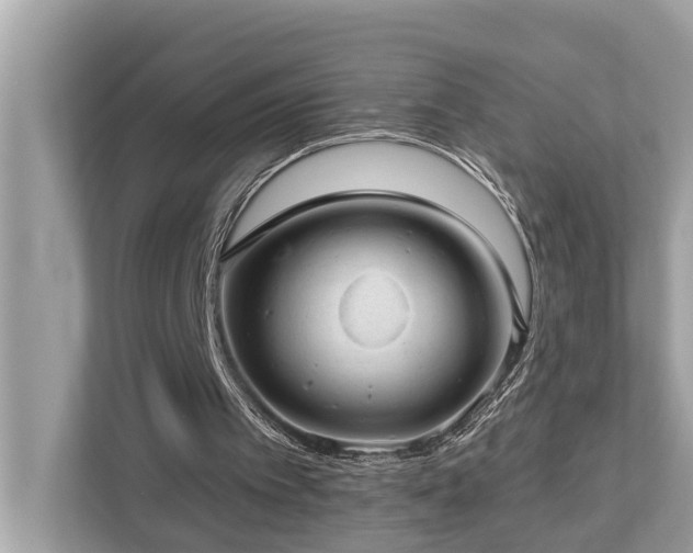 X0000112980097200908271151