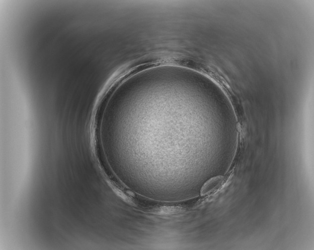X0000112980101200908271151