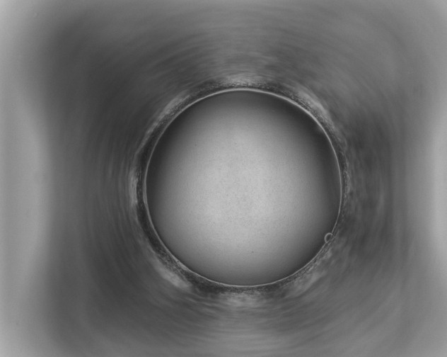 X0000112980106200908271151