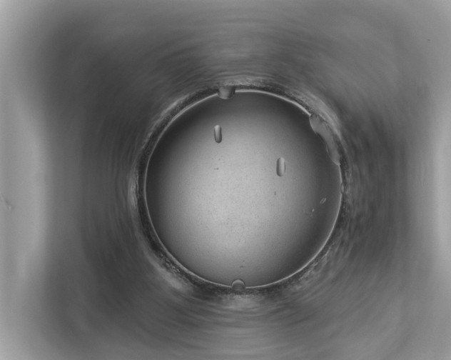 X0000112980107200908271151