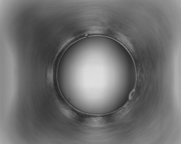 X0000112980108200908271151