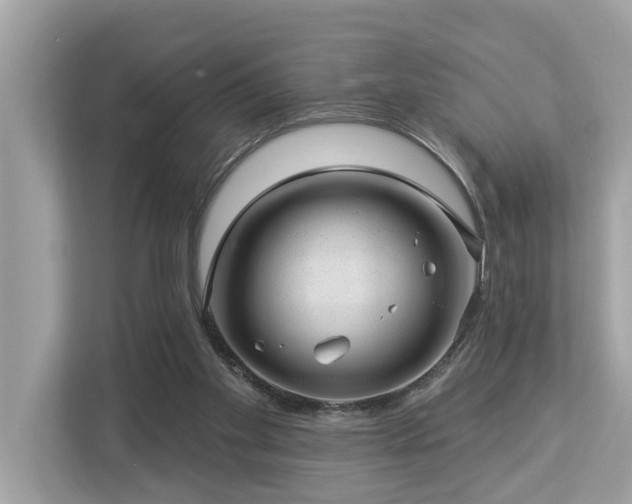 X0000112980109200908271151