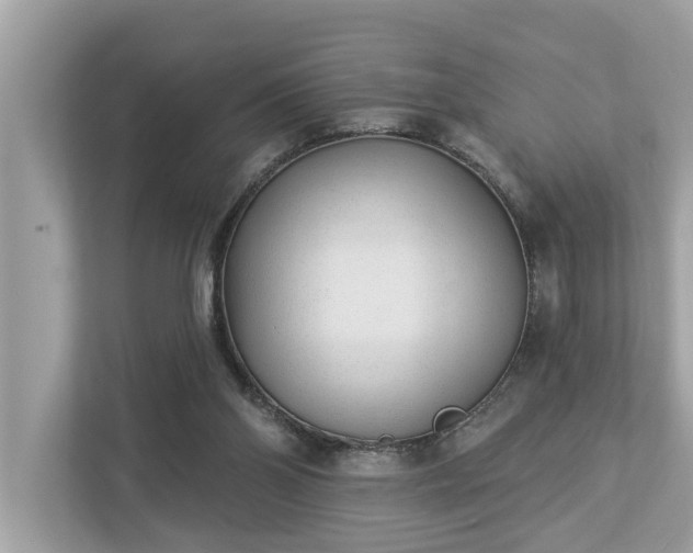X0000112980110200908271151