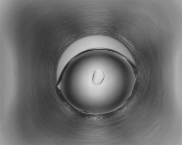 X0000112980117200908271151